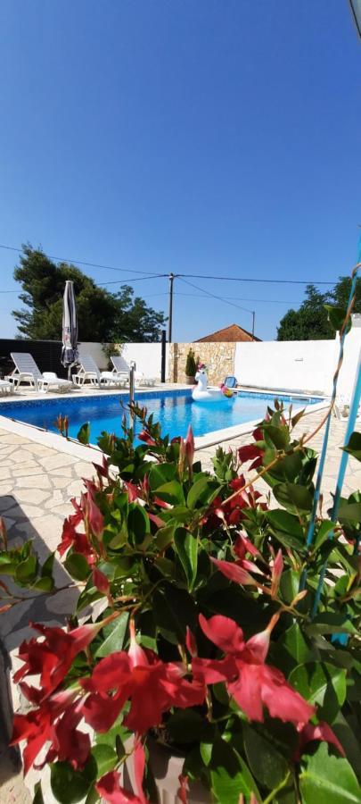 Apartment Elena Galovac  Luaran gambar